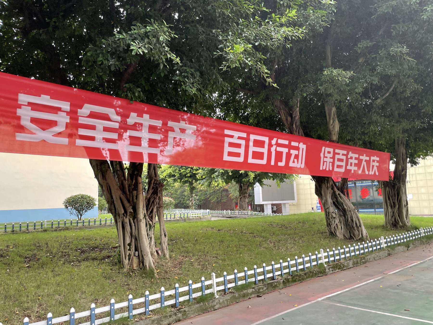 1626260309293950.jpg 1626260309293950.jpg